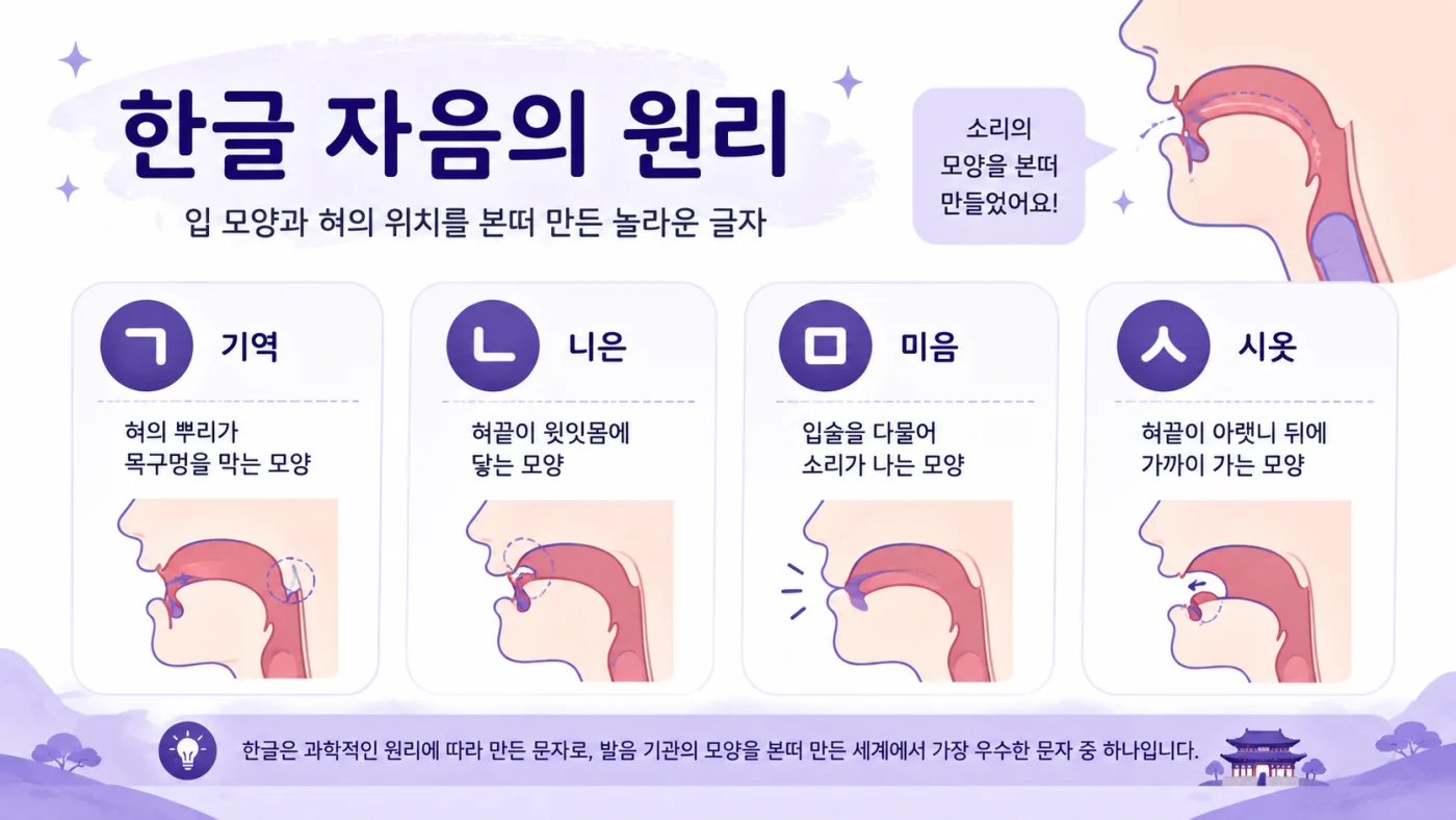 Diagram showing how Korean consonants ㄱ, ㄴ, ㅁ, ㅅ mirror the shape of the mouth and tongue when pronounced